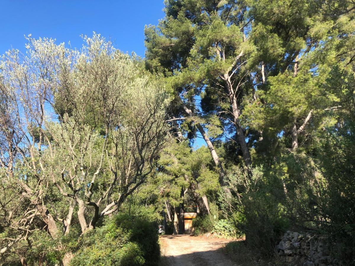 Les Pins Le Castellet (Var) Exterior foto