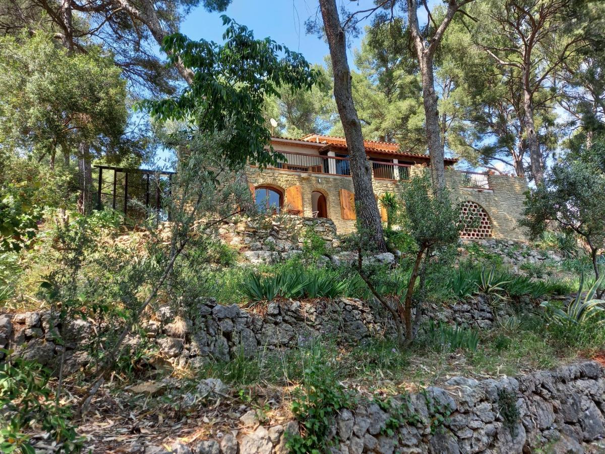 Les Pins Le Castellet (Var) Exterior foto